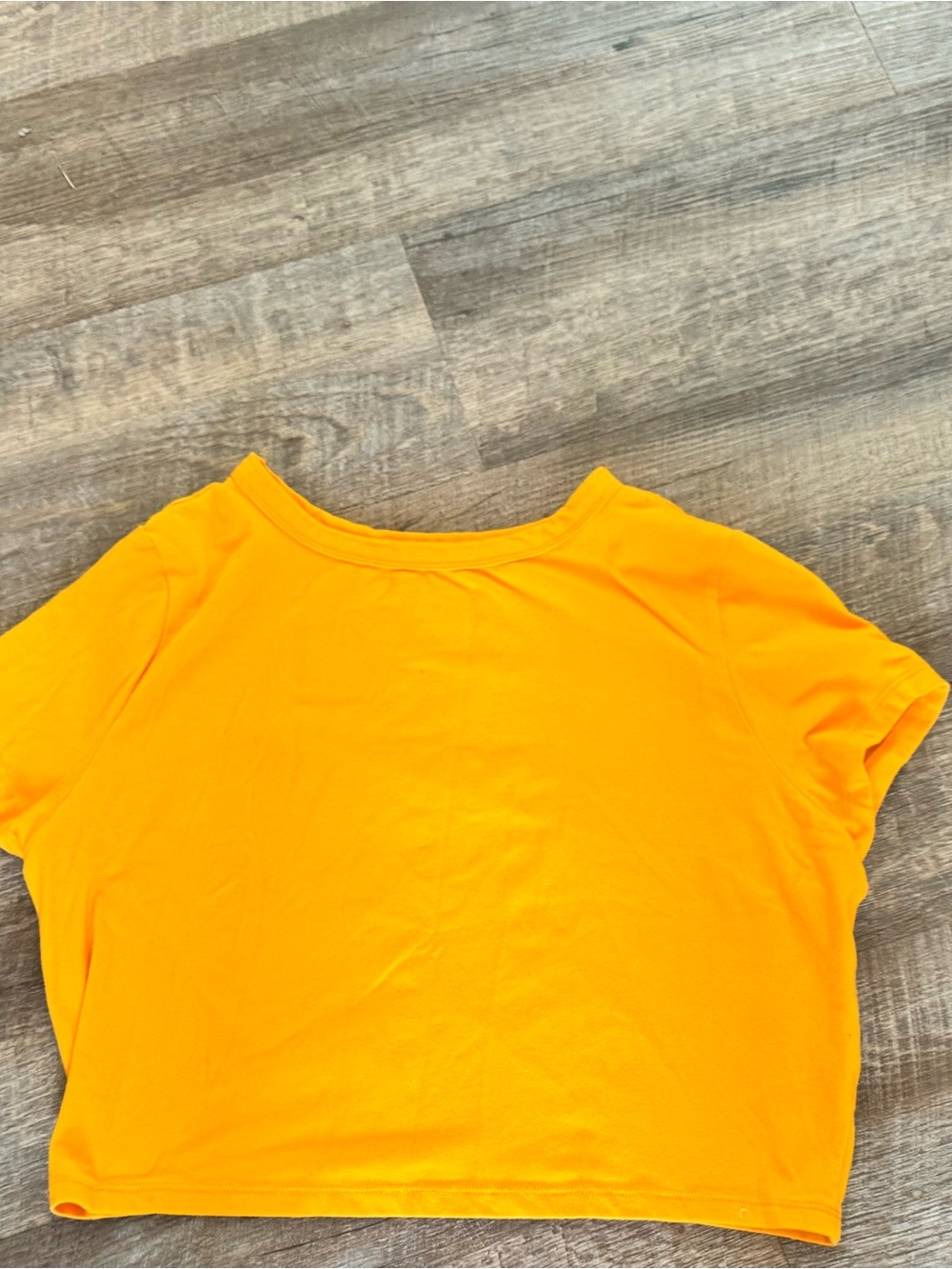 wild fable neon colored  Crop Top